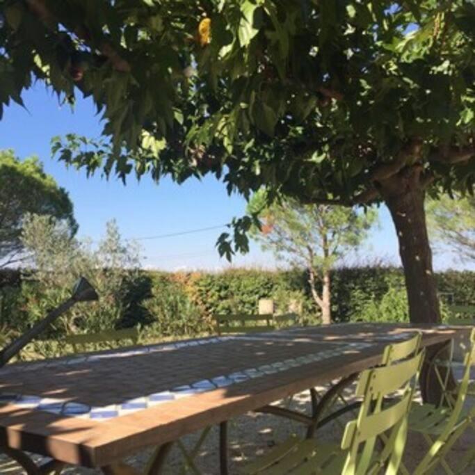 La Maison Des Vendangeurs Canet-en-Roussillon Eksteriør bilde