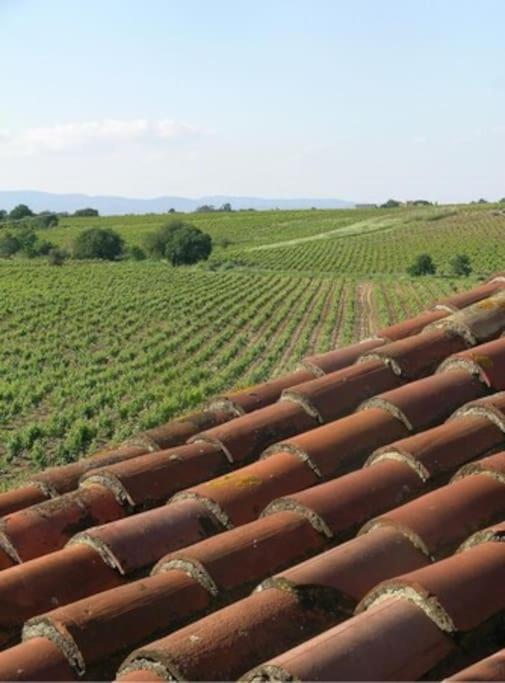 La Maison Des Vendangeurs Canet-en-Roussillon Eksteriør bilde
